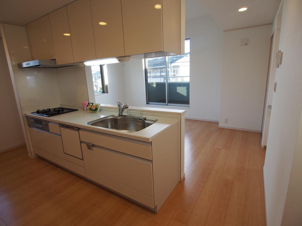 Kitchen. Indoor (12 May 2013) Shooting