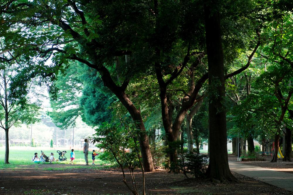 park. 580m lush oasis to Kinutakoen, It is ideal for healing holiday