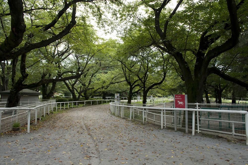 park. 980m until the horse events public garden green revitalization of horse events public garden. You can interact with horses. 