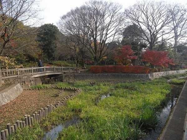 park. 500m to Unane park