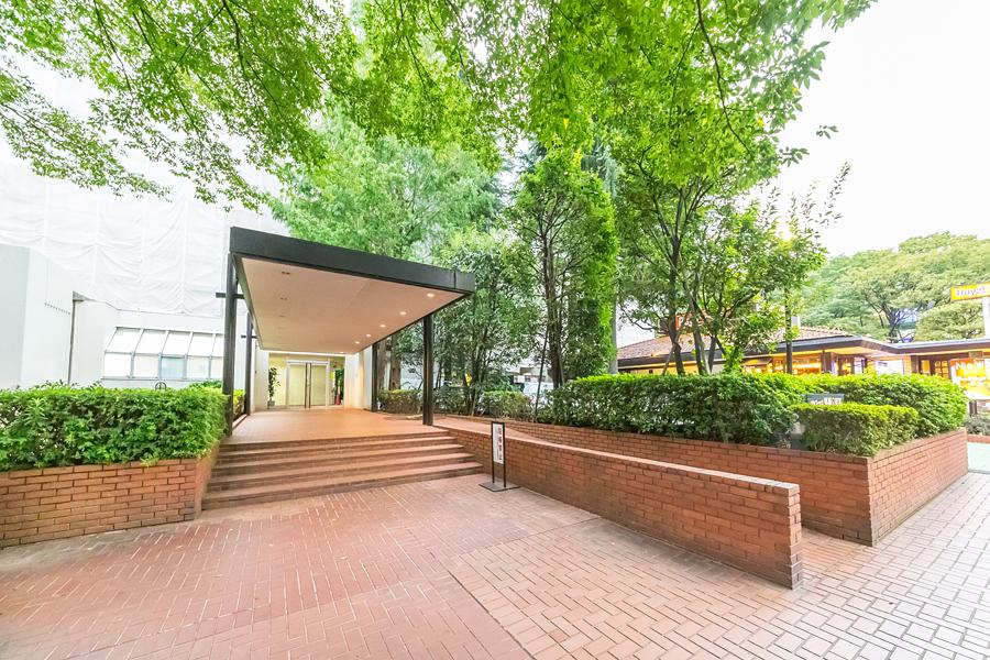 Entrance. Lush Entrance