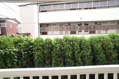 View. ☆ Facing south