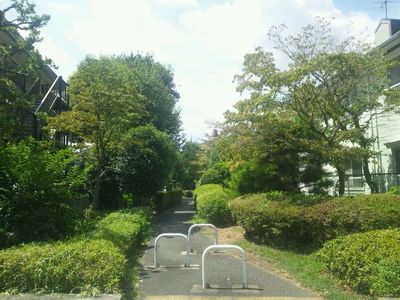 Other. 50m until the green road (Other)