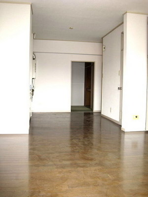 Other. Living spacious 12.3 Pledge (another room photo)