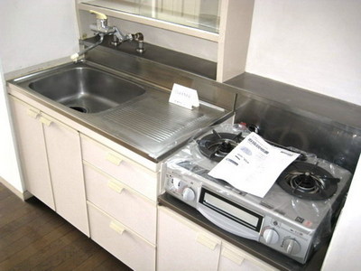 Kitchen. Gas stove corresponding kitchen (separate room photo)