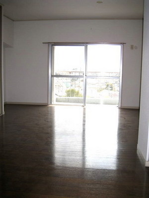 Living and room. Living spacious 12.3 Pledge (another room photo)