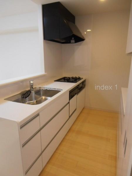 Kitchen. Dishwasher with a system Kitchen