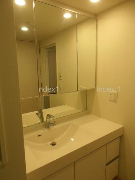 Wash basin, toilet. Spacious wash room