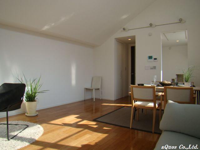 Living. Indoor (11 May 2013) Shooting