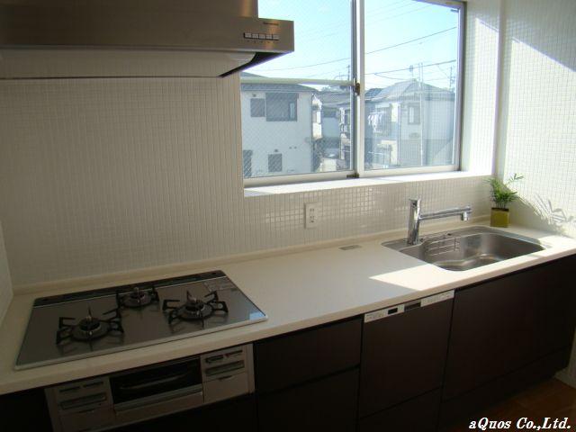 Kitchen. Indoor (11 May 2013) Shooting