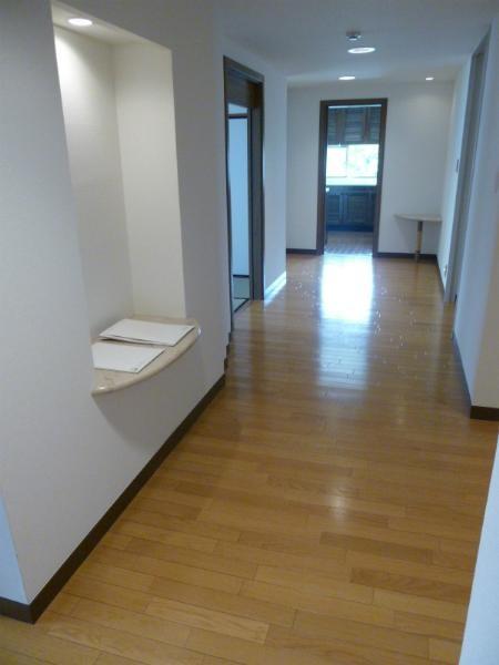 Other introspection. Entrance hall