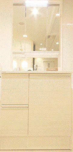 Wash basin, toilet. Same specifications construction cases