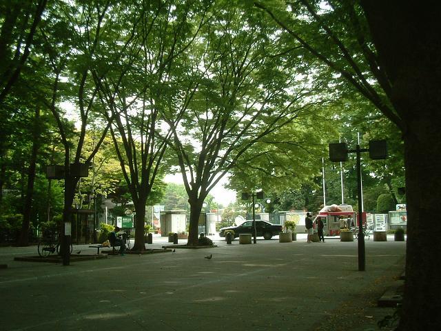 park. 720m until the horse events public garden