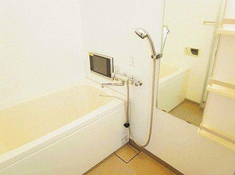 Bathroom. With bathroom TV monitor