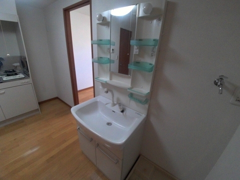 Other room space. Independent wash basin