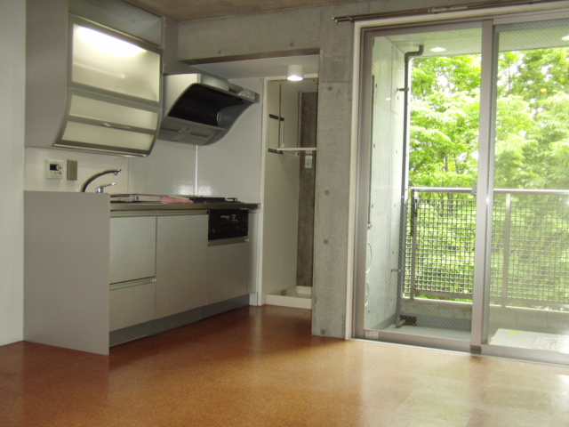 Kitchen. System kitchen (gas three-necked)