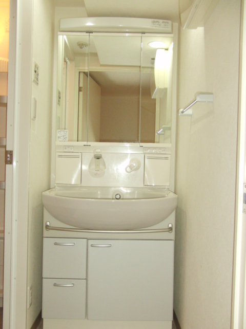 Washroom. Shampoo dresser