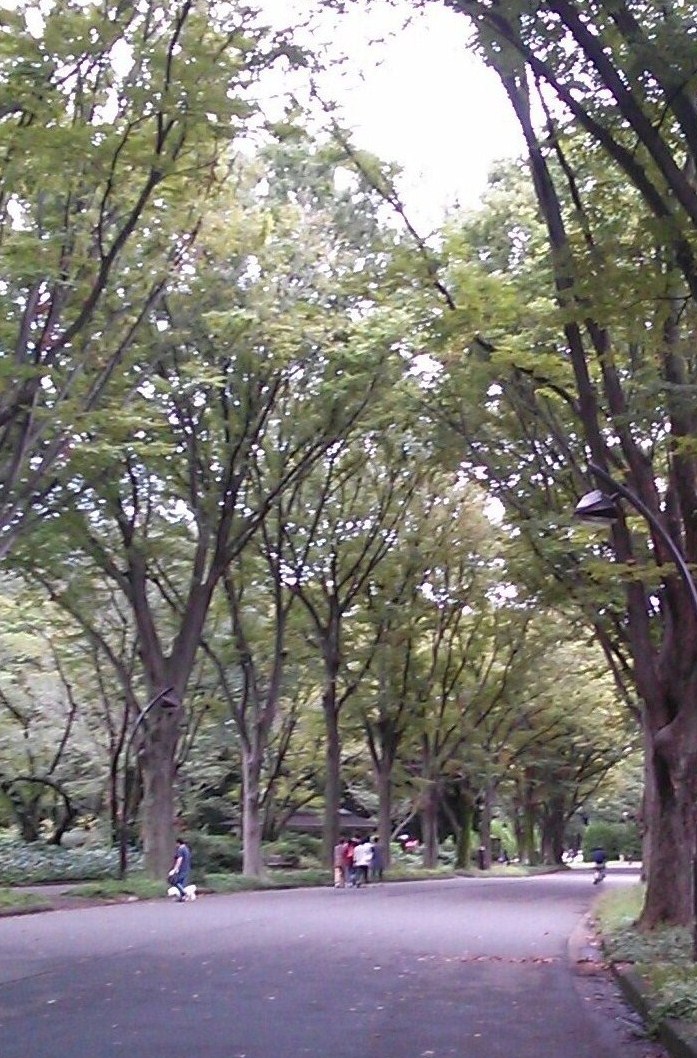 park. 220m to Komazawa Olympic Park (Park)