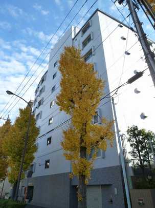 Local appearance photo. Appearance (1)