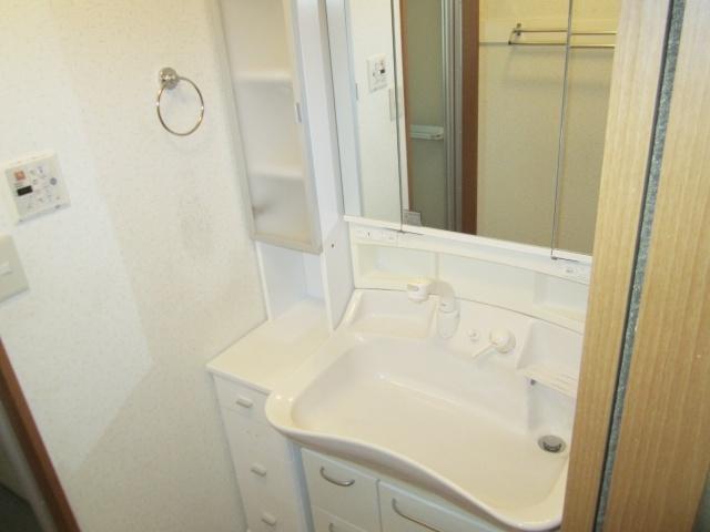 Wash basin, toilet. Bathroom vanity