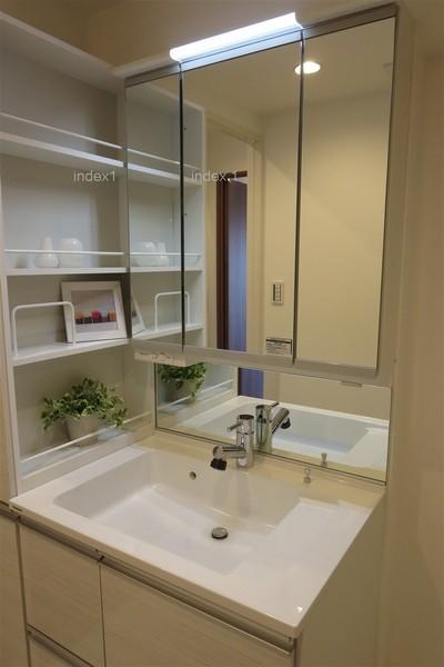 Wash basin, toilet. Washroom with shower