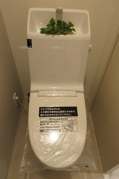 Toilet. Cleaning function toilet