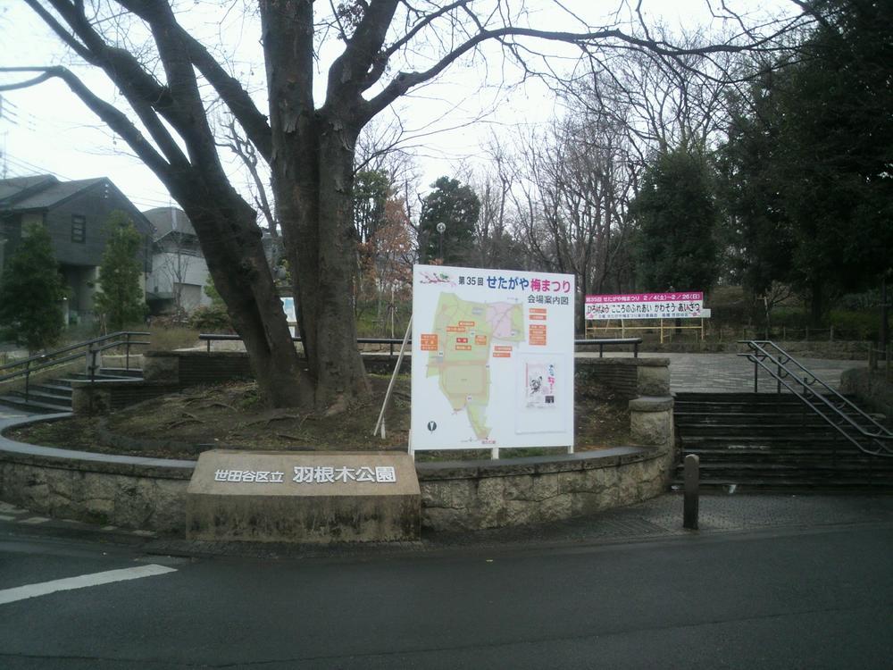 Other. Plum of attractions ~ Hanegi park