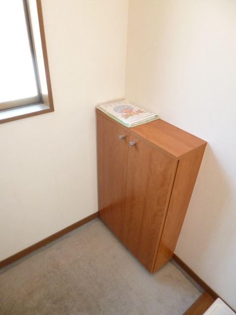 Entrance. There is also shoes BOX. 