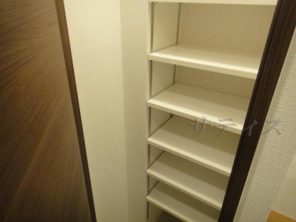 Entrance. Entrance storage