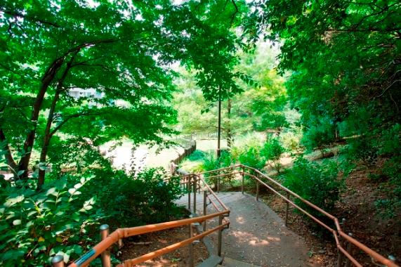 park. Position in the "Kokubunji cliff line" called "green lifeline" 220m Setagaya up Seijo Yonchome park. Precious natural of the remaining green space is a 3-minute walk