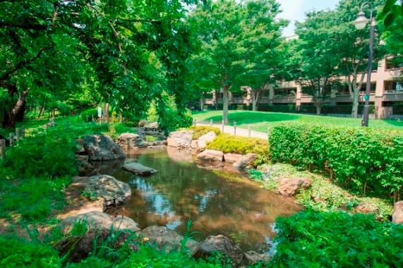 park. Green open space that extends along the Nogawa until the green square 170m Nogawa. You can enjoy the water and the green of the gentle landscape