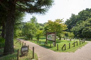 Mitsu Seijo Ikekita green space (about 30m)