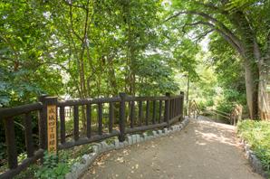 Seijo Yonchome green space (about 220m)