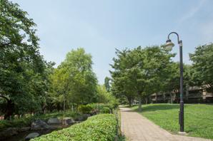 Nogawa green open space (about 170m)