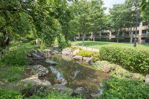 Local is located Seijo 4-chome, By the Landscape Act of Setagaya, Precious natural environment is protected, Leave Musashino of bare natural to now, Greenery area. "Kokubunji cliff line" is spread over to the entire length about 25km to the local neighborhood, Mitsu Seijo Ikekita green space and Seijo Yonchome green space is in the same cliff line. Lush park is, Promenade also been developed so that you can stroll, It is possible to enjoy the changing of the four seasons familiar. Such as also Kitami petting Square and Nogawa green square, There is also a park where you can enjoy the natural green and waterside, It has created a living environment that is healed calm the mind. Enjoy valuable nature also, Inaccessible location. By all means when visiting the site is, I want to enjoy together also close to nature.