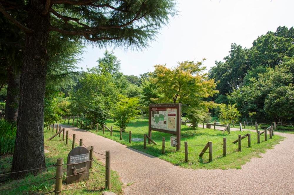 park. It is a valuable natural remains green space of 30m "Kokubunji cliff line" to Mitsu Seijo Ikekita green space