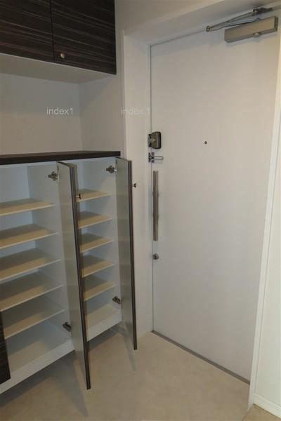 Entrance. Shoe closet in the foyer