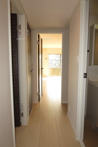 Entrance. Corridor of the room