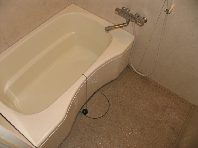 Bath. ■ Other room photo (room image)