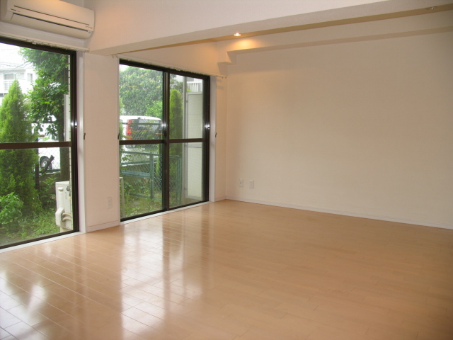 Living and room. ■ Other room photo (room image)