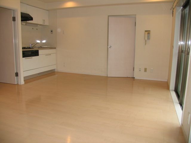 Living and room. ■ Other room photo (room image)