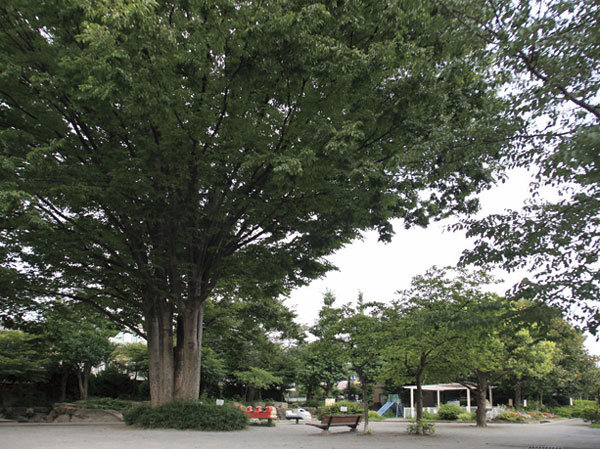 Surrounding environment. Sakurajosui park ([ ※ About than 2] 520m ・ 7-minute walk)