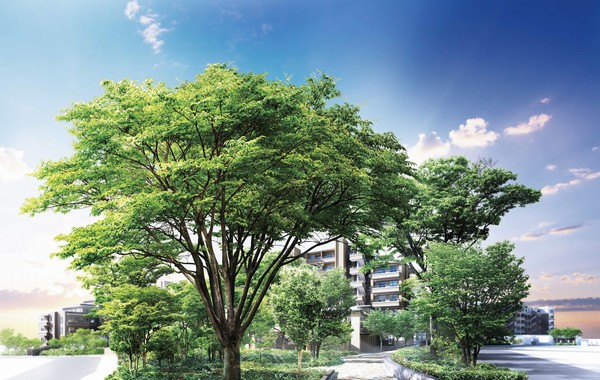 Exterior - Rendering ( ※ )