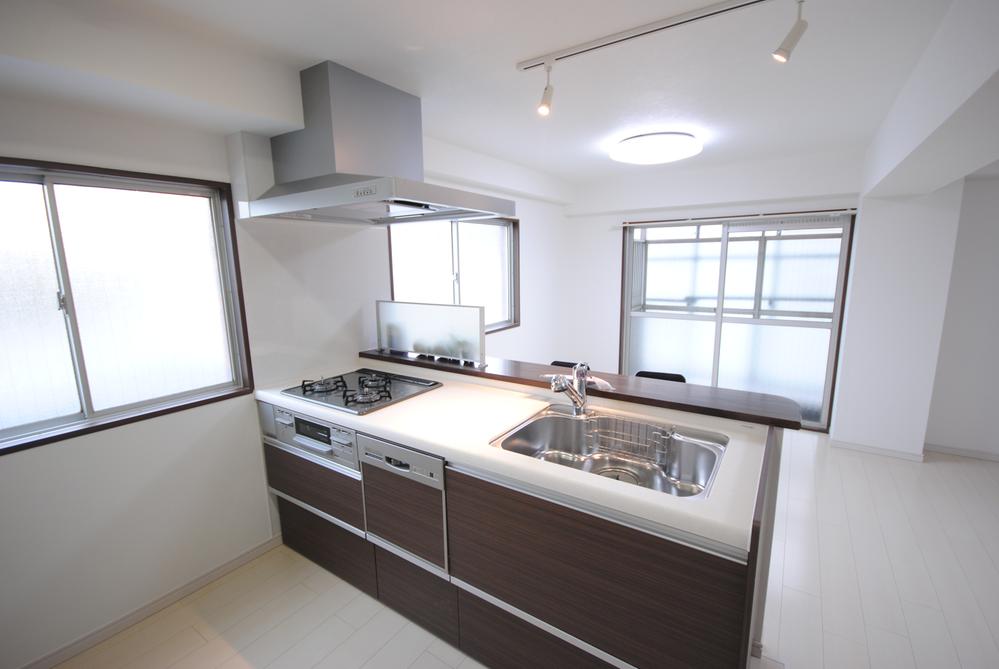 (Three-necked gas ・ grill ・ Dishwasher) system Kitchen