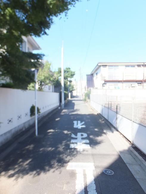 Local photos, including front road. Local (10 May 2013) Shooting