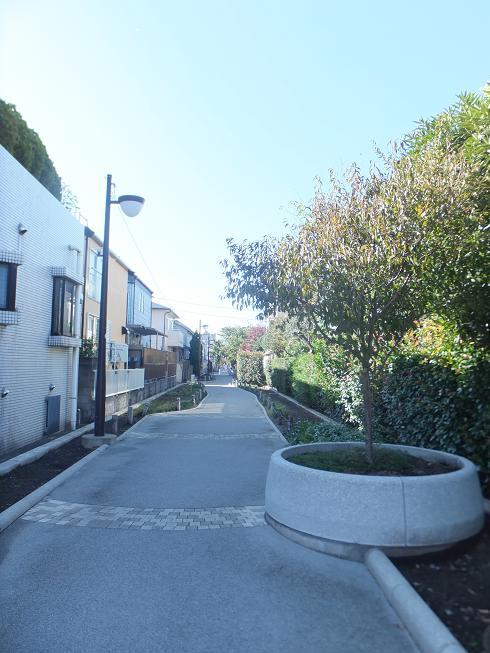 Other. Local (10 May 2013) Shooting