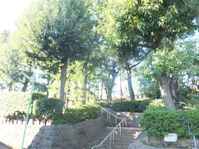 park. Local (10 May 2013) Shooting