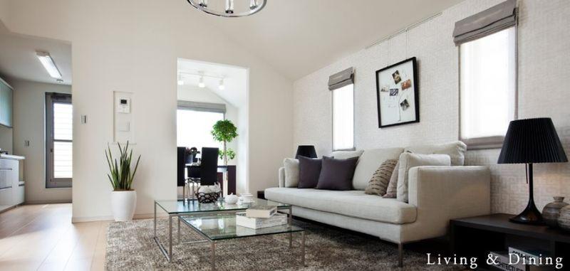 Other local. Model room (living)