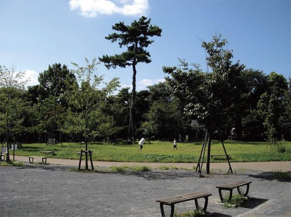 park. 1040m to the forest green of Mishuku