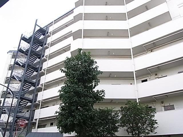 Local appearance photo. Local (September 2013) Shooting